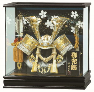 @Lv@܌l`@10@pm}P[X@KXP[X@y(Â)z@q5l`  ԂƂ bh  P[X Hl` RpNg 