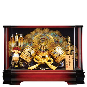 @ʍ@܌l`@KXP[X@yz@q5l`o ԂƂ P[X bh Zbg ߋ [߂̐ߋ ߋj q̓ ܌