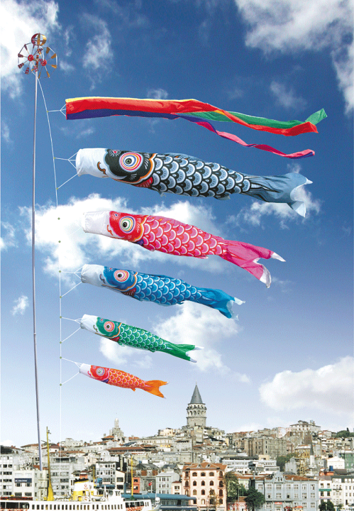 鯉のぼり 友禅鯉 緑6m 未使用品鯉のぼり 友禅鯉」の人気商品一覧 |