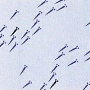 G뉮@{Aa~jnJ`@_JE߂@22×22cm@100@q^InJ`EK[[nJ`E͂񂩂r