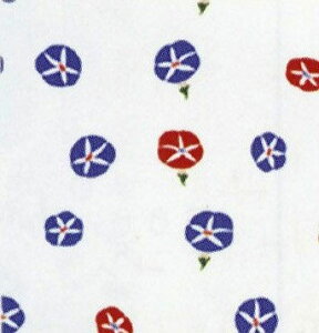 G뉮@{Aa~jnJ`@ (EATKI)@22×22cm@100@q^InJ`EK[[nJ`E͂񂩂r