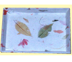 aEa@ayM@Mu@yu@[u@u@ÓyyM@14×19cm@hH@{