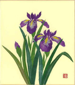 色紙　日本画　季節のちぎり絵シリーズ　春〜夏　5月の誕生花　貼り絵アヤメ　ちぎり紙菖蒲