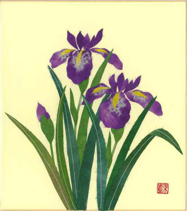 楽天市場 色紙 日本画 季節のちぎり絵シリーズ 春 夏 5月の誕生花 貼り絵アヤメ ちぎり紙菖蒲 人形の鈴勝