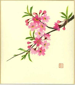 色紙　日本画　季節のちぎり絵シリーズ　春　4月の誕生花　貼り絵さくら　ちぎり紙桜