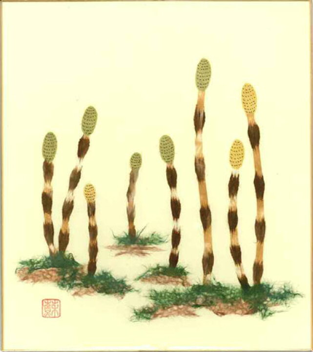 楽天市場 色紙 日本画 季節のちぎり絵シリーズ 春 貼り絵つくし ちぎり紙土筆 人形の鈴勝