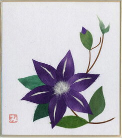 楽天市場 てっせん 花 季節の通販