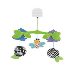 ߋ@yVׂ邨Exr[@tBbV[vCX@Ԃ炳肨܂āI@CBH81 łL[[@qqpߋ qǂ ǂ̂ c