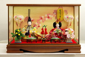 ���������@�����L�v��@���l�`�@�ߑ����e���@�K���X�P�[�X����e������@�y�؍��z�@�q�ЂȐl�` �����l �������� ���Ђȗl ���ЂȂ��� �������� ���Ђȏ��� �������l ���P�l ���Ղ� �Ђȍ�