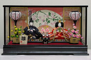 @Lv@l`@ߑe@KXP[X@yLvl`iNo.1-1z@q䐗l Ђȗl ЂȂ Ղ ЂȂ܂ ЂȐl`P[X  