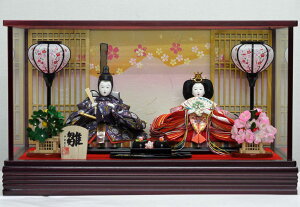 @Lv@l`@ߑe@KXP[X yLvl`iNo.3-8z q䐗l Ђȗl ЂȂ Ղ ЂȂ܂ ЂȐl`P[X  Ђ