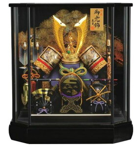 @ʍ@܌l`@12@ZpKXP[X@yOitz@q5l`o ԂƂ P[X bh Zbg ߋ [߂̐ߋ ߋj