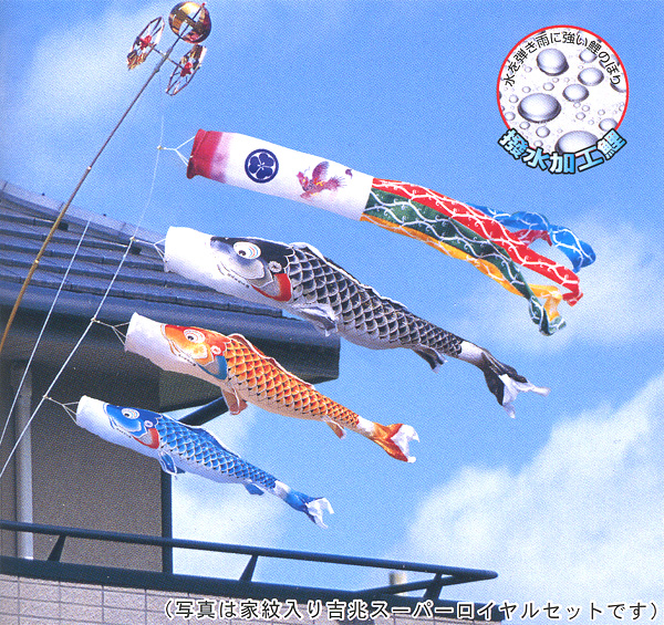 毎回大好評】 送料無料 徳永鯉のぼり作 慶祝の鯉 吉兆 ２m６点ロイヤル