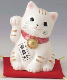 陶器製　豪華赤座布団乗り　風水 東北側置き学業成就招き猫　右手（右前脚）上げ　白色　高さ10cm　まねきねこ　Feng Shui Beckoning Cat　Maneki Neko