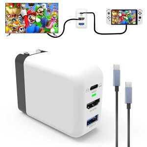 yy{KizBasicolor Switch hbN[d Q[ɏ[d Switch[d V̑fGaN ^CvC[d [d(USB3.1/ HDMI/ USB2.0 3̃C^[tF[X) HDMIϊA_v^[jeh[