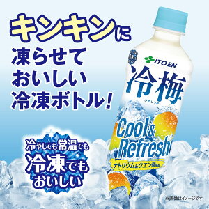 ɓ ~ (Ⓚp{g) 500g×24{