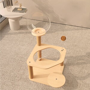 y[1`2TԁzFD Lbg^[ ؐ X L^[ ~j Ⴂ  ^LpnEX R܂Ƃ u lC  sunframeyz