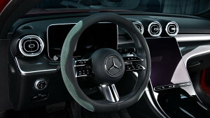 ySi|Cg5{zPICKSHI  nhJo[ XG[h  XeAOJo[ y sTCY 37.5cm XG[h U[ ~ ͗₽Ȃ Ċ̋z Ȃ (O[)y