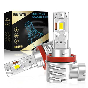 yŒZzh11 ledwbhCg ԌΉ 6000K zCg LEDouh11 h8 h16 p 32Aledfq dԓՋZp vV̗pVXe ^ RpNg tȒP t@X mCY