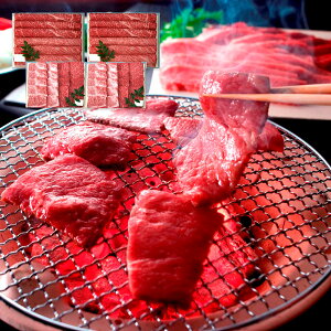  uOc{Ɓv јaēp i(180gAo180g)×4j /   ΂ 