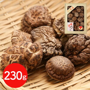 ySi|Cg5{z E{ uɂׂv ő 230g / Y  ǂ  yubNtCf[z