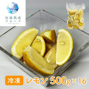 ySi|Cg5{z  500g×16pbN / Ⓚt[c fU[g Y L Q yubNtCf[z