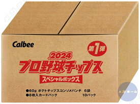 カルビー 2024 プロ野球チップス スペシャルボックス 第1弾 360g