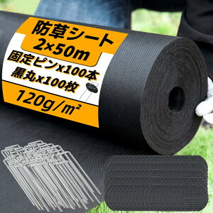 ySi|Cg5{z hV[g V[g hV[g sDz h V[g Gh~V[g 2×50m Œs100{ƍ100t   UVόܔz eܓ ϋv x120g/m(u