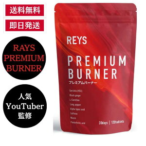 yzREYS CY yPREMIUM BURNERz v~Ao[i[ 120 KjVAiHCAj ubNWW[ Jj` qnc |_ iCAV