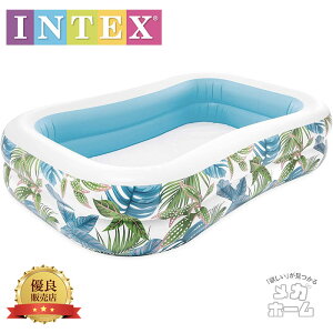 INTEX(CebNX) v[ ^v[ gsJXCZ^[t@~[v[ 57177 [{Ki]