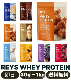 REYS レイズ ホエイ プロテイン 1kg 国内製造 ビタミン7種配合 WPCプロテイン ぷろていん ホエイプロテイン (塩キャラメル風味)　お試し 30g フルーツセット・お試し 30g カフェセット