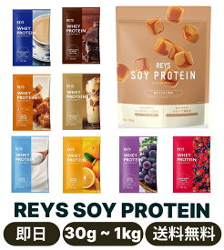 REYS レイズ ソイ プロテイン 1kg 国内製造 ビタミン7種配合 SOY ぷろていん ソイプロテイン (生キャラメル風味)　お試し 30g フルーツセット・お試し 30g カフェセット