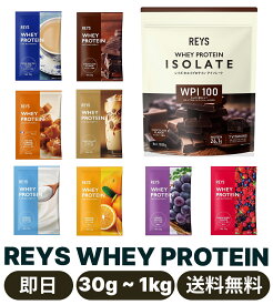 REYS レイズ WPI ホエイ プロテイン アイソレート チョコレート風味 1kg 国内製造 ビタミン7種配合お試し 30g フルーツセット・お試し 30g カフェセット