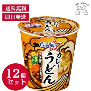 ySi|Cg5{z T[Hi Tb| JbvX^[ J[ǂ 80g yubNtCf[z