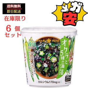 Ђ薡X VEGE MISO SOUPJbv IN5̊C 1H ×6