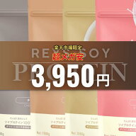【新フレーバー登場！】REYS レイズ ソイ プロテイン 1kg 山澤 礼明 監修 国内製造 ビタミン7種配合 SOY…