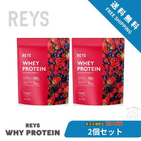 【2個セット】REYS レイズ ホエイ プロテイン 1kg 国内製造 ビタミン7種配合 WPCプロテイン ぷろていん ホエイプロテイン (ミックスベリー風味)