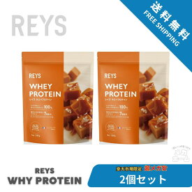 【新フレーバー】【2個セット】REYS レイズ ホエイ プロテイン 1kg 国内製造 ビタミン7種配合 WPCプロテイン ぷろていん ホエイプロテイン (塩キャラメル風味)