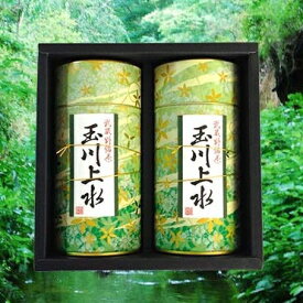 狭山茶 お茶 緑茶 茶葉 玉川上水 ギフト（草缶100g×2）東京都 小平市【狭山茶問屋 鈴木園】【お茶】【緑茶】【お彼岸】