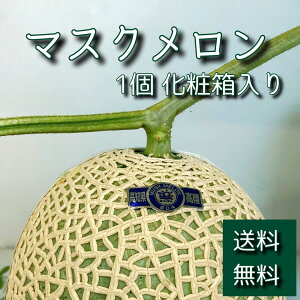 通販 マスク メロン 茨城県のメロンを生産者から産地直送！【いばらき産直ねっと】で通販購入