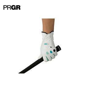 yPRGR^vMAzfB[X O[uЎpPGL-17