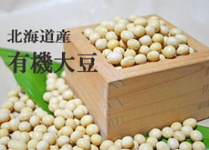 y}ւł̂͂@ϕszL@哤29.5LiƖp܁j