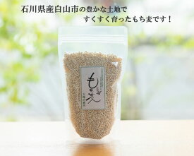 【宅配便】石川県産の美味しいもち麦！国産、水溶性食物繊維【他の商品と一緒にご注文の場合はこちら】