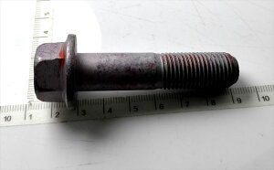 tW {g M14 X 60  w}̗ M000334 ̂݁x Xoi KVB KN[15N01`21N04]wiԁx 901000334 ^j2^