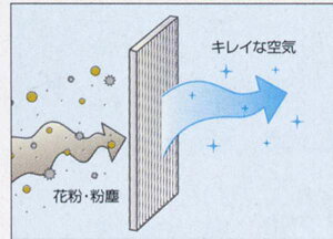 wAebc@x  GXE10 pN[GAtB^[ (ԕ^Cv) p[c g^i GARtB^[ GAtB^ EL altezza IvV ANZT[ pi