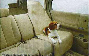 wm[gx  E11 ZE11 NE1 ybgV[gJo[isDzJo[3tj p[c Yi ȃJo[  V[gی NOTE IvV ANZT[ pi