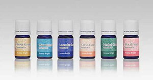 wFt@CAx  GGH30W A}EuCgp̃GbZVIĈ X^[^[LbgAppbh͕ʔ p[c g^i F  vellfire IvV ANZT[