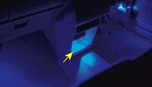 wpx  HE33S R\[{bNXC~l[V p[c XYLi Ɩ  Cg lapin IvV ANZT[ pi