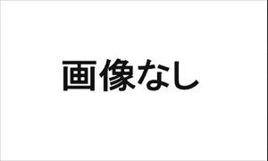 w~C[Xx  LA300S L[XGg[pCL[(ǉpj p[c _Cnci mirae:s IvV ANZT[ pi