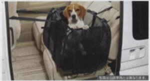 wZix  C25 CC25 NC25 CNC25 ybgLA LTCY p[c Yi Q[W oXPbg ybgL[ SERENA IvV ANZT[ pi